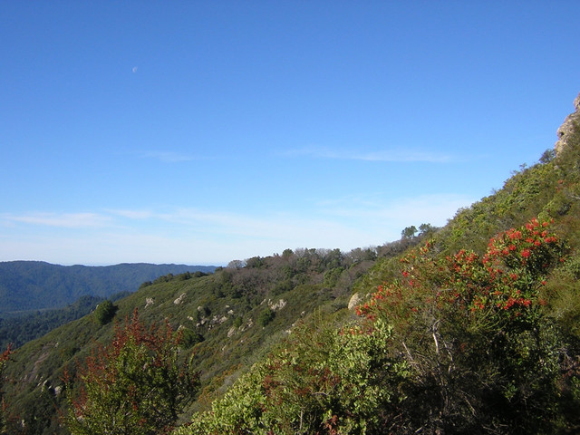 DSCN1770.jpg