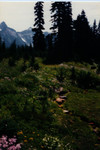 Mt Rainier Moraine Trail, 1996